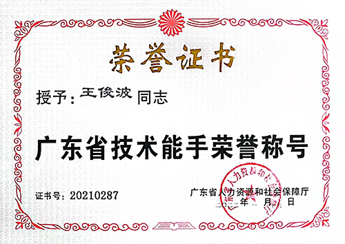 荣誉证书-广东省技术能手.jpg