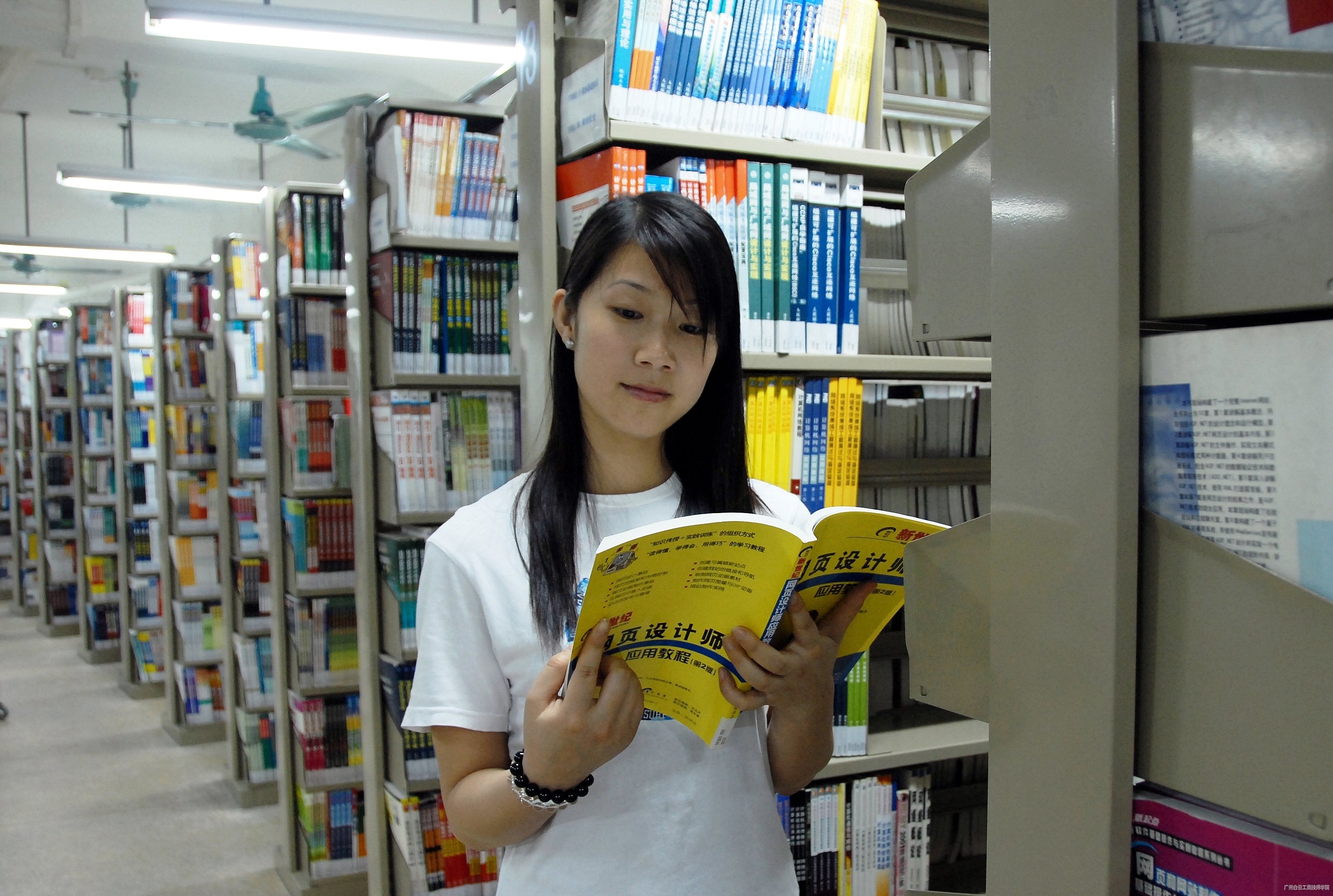 学习机制